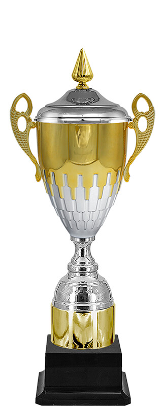 Кубок Морган