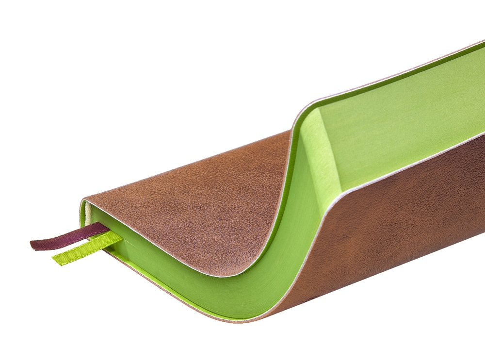 Ежедневник А5 датированный Boston 2026, коричневый с салатовым обрезом