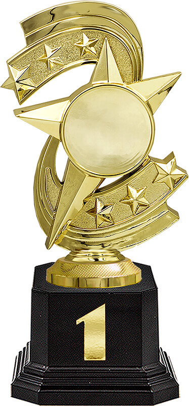 Награда 1 место