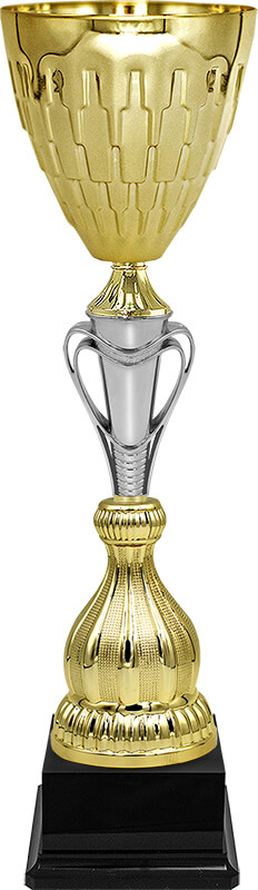 Кубок Барон