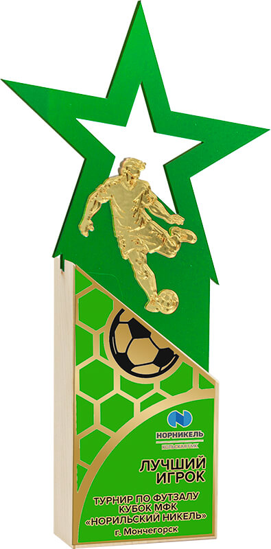 Акриловая награда с сублимационной печатью футбол