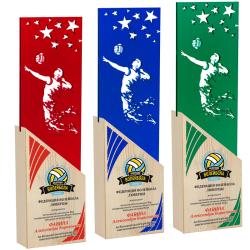 Акриловая награда с УФ печатью волейбол