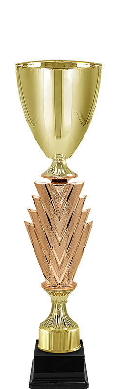 Кубок Чарити (под бронзу)