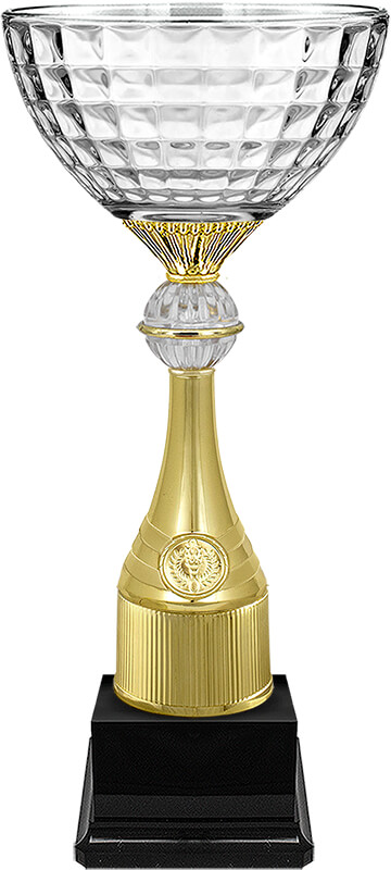 Кубок Ньютон