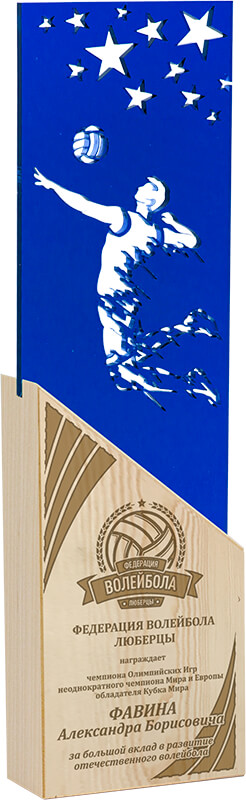 Акриловая награда с лазерной гравировкой волейбол