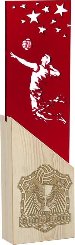 Награда волейбол