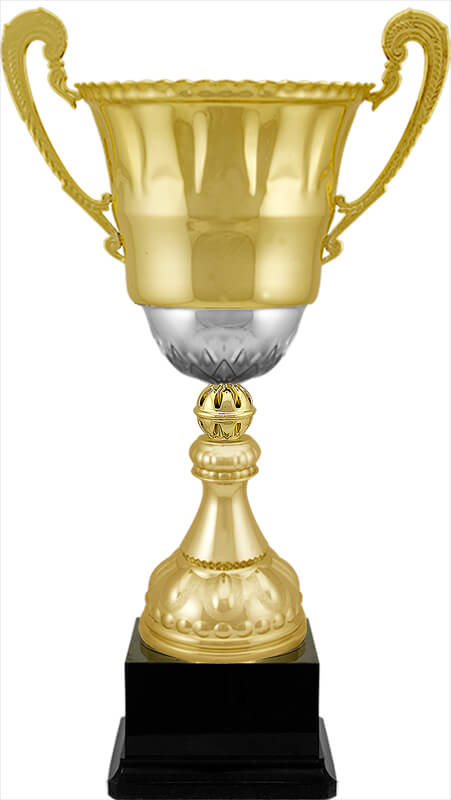 Кубок Стинг