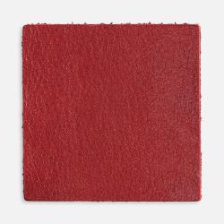 Лейбл кожаный Pasek, L, красный