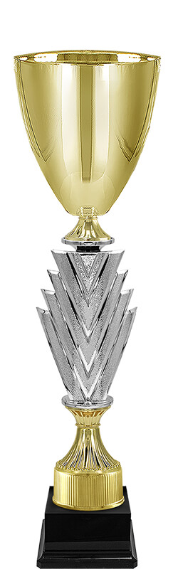 Кубок Чарити (под серебро)