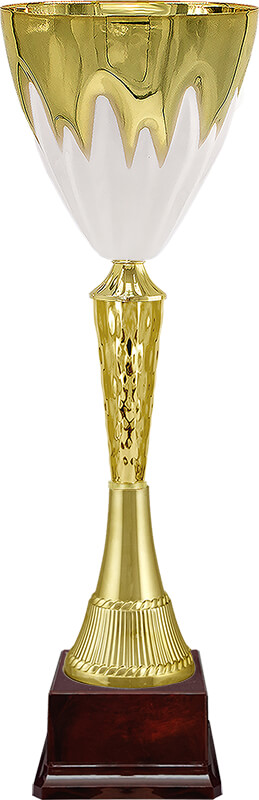 Кубок Зерон