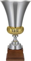 Кубок Эрфурт