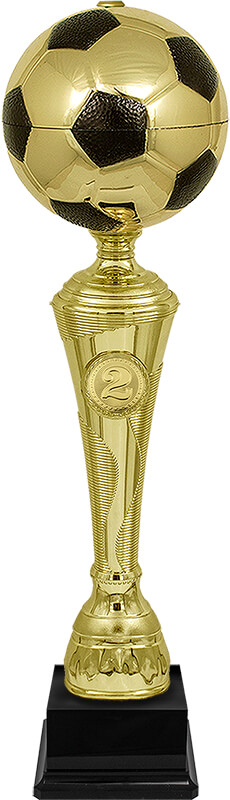 Кубок Фабиан 2 место