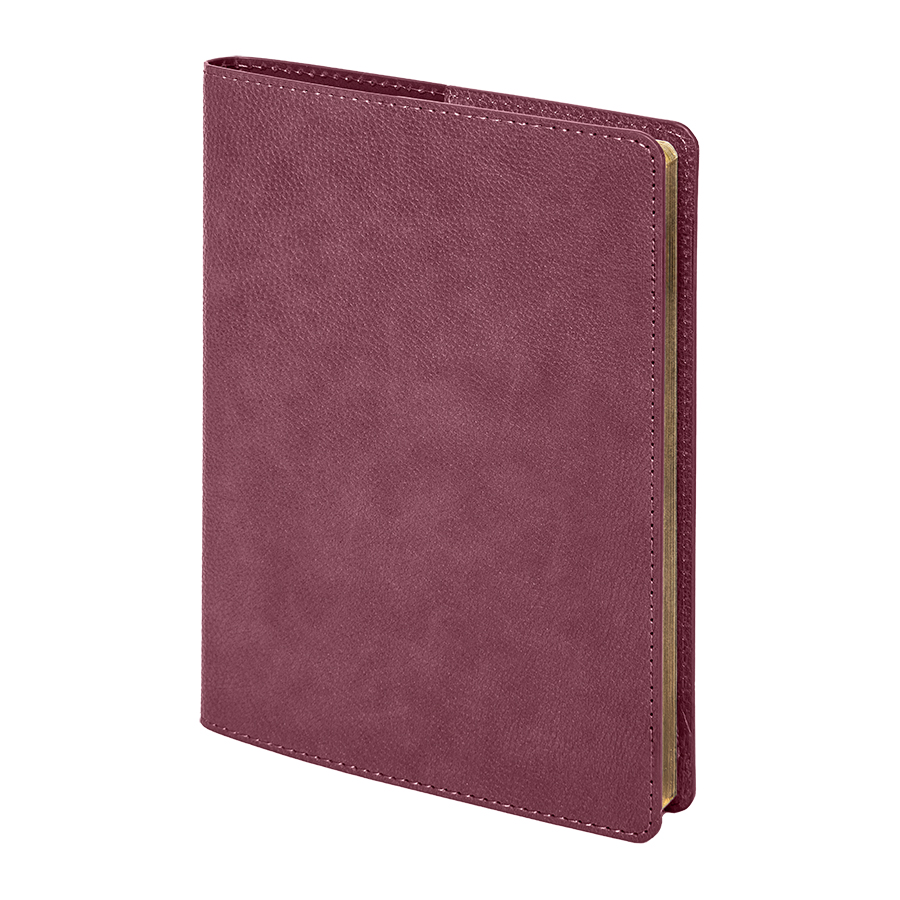 Ежедневник недатированный портфолио Mark,формат А5, в линейку Ежедневник недатированный портфолио Mark,формат А5, в линейку