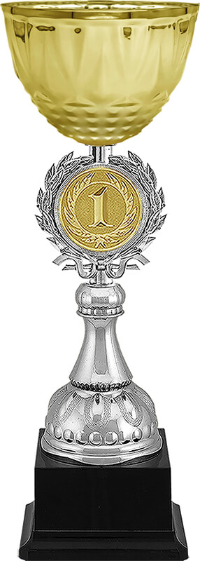 Кубок Чарлик1 место