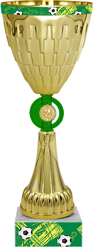 Кубок Ривелино 2 место