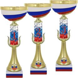 Кубок Мэтр 3 место Кубок Мэтр 3 место