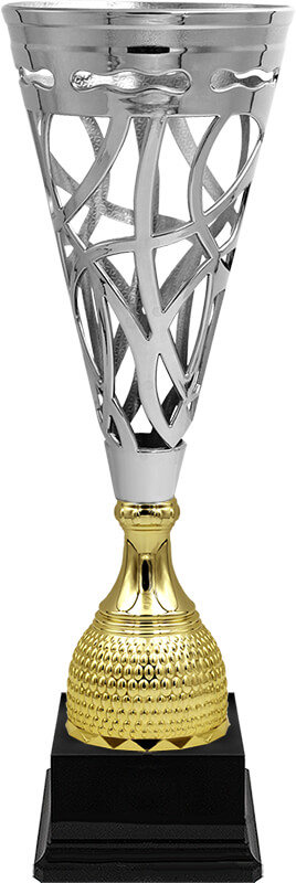 Кубок Викс (под серебро)