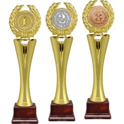 Награда 3 место