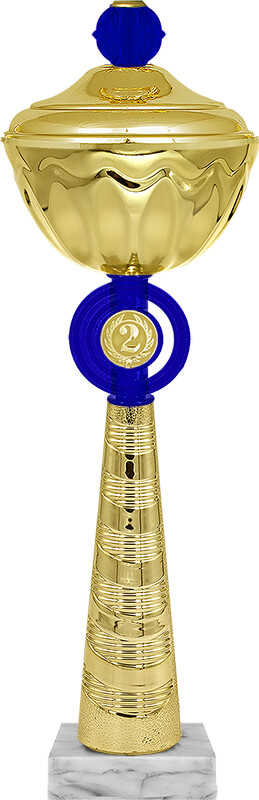 Кубок Василь 2 место