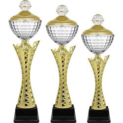 Кубок Карина