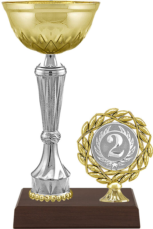 Кубок Бланш 2 место