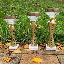 Кубок Нобель