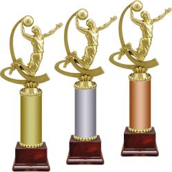 Награда Баскетбол