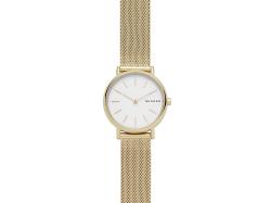 Часы наручные, женские. Skagen
