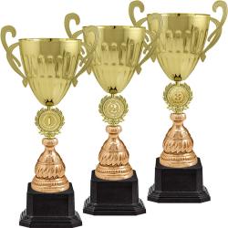 Кубок Дейла 3 место Кубок Дейла 3 место