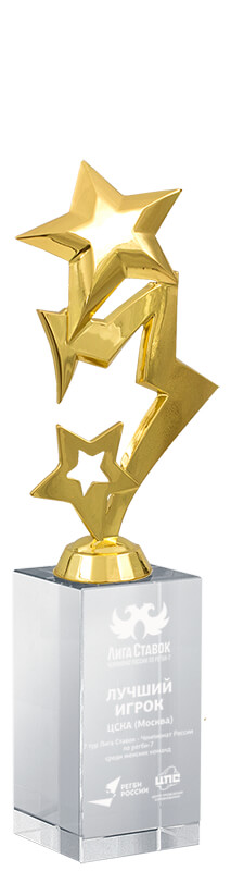 Награда Звезды с гравировкой