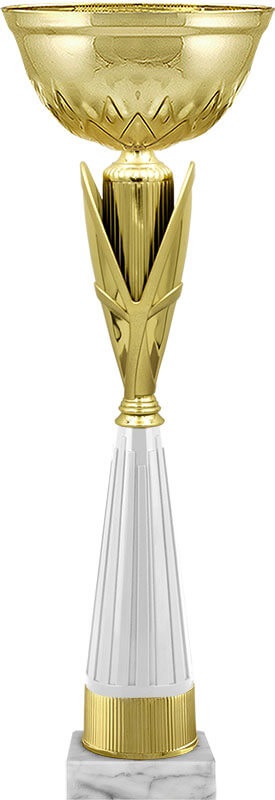 Кубок Асель Кубок Асель