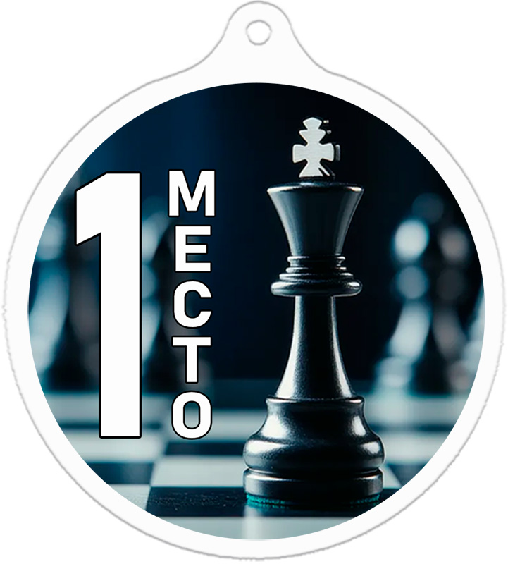 Медаль шахматы 2 место