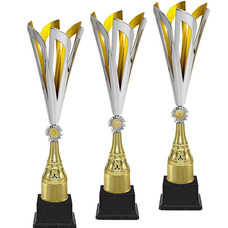 Кубок Эмма 2 место