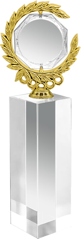 Награда из стекла с фигурой