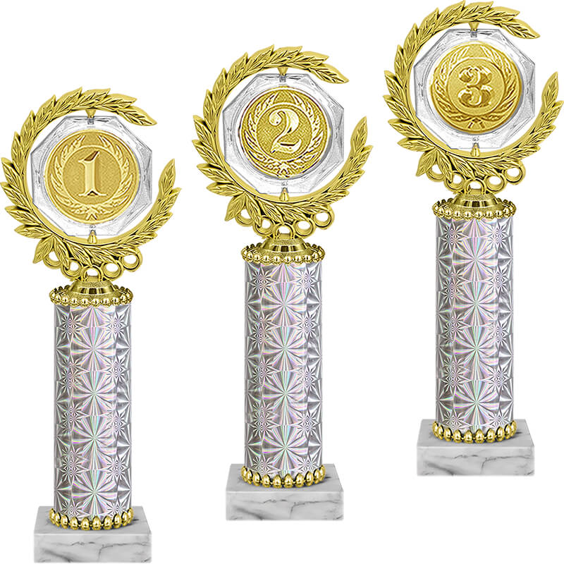 Награда 3 место Награда 3 место