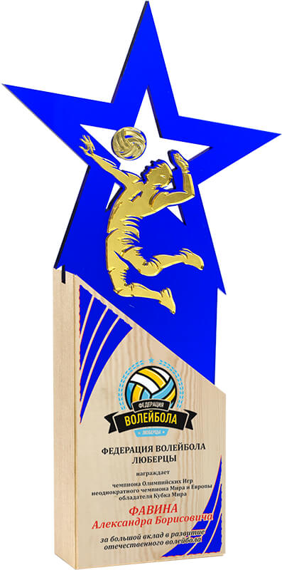 Акриловая награда с УФ печатью волейбол
