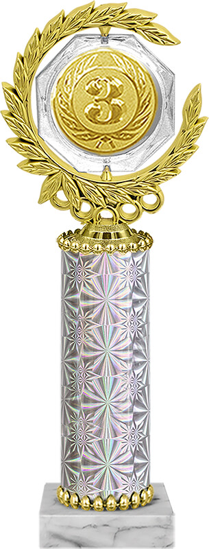 Награда 3 место Награда 3 место