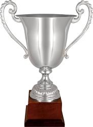 Кубок Копенгаген