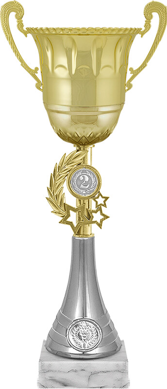 Кубок Ойла 2 место Кубок Ойла 2 место