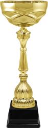 Кубок Тэмпли Кубок Тэмпли