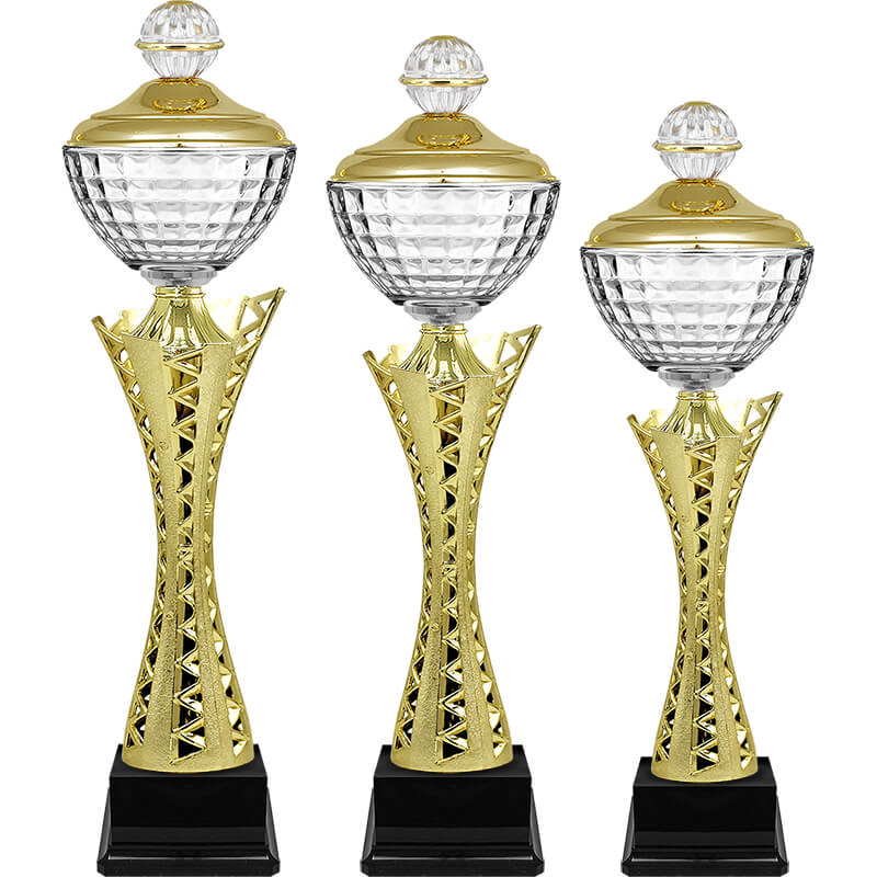 Кубок Карина