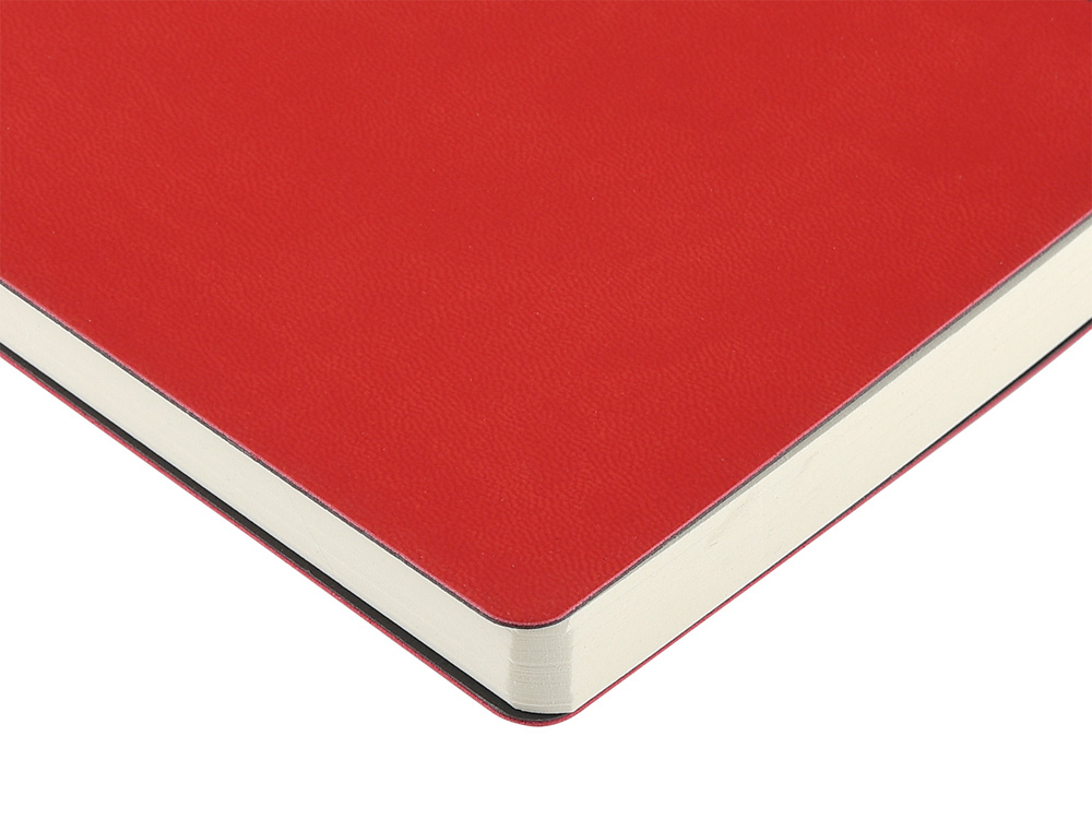 Ежедневник недатированный на спирали А5 Agenda, красный (Р)