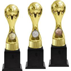 Награда-кубок 3 место