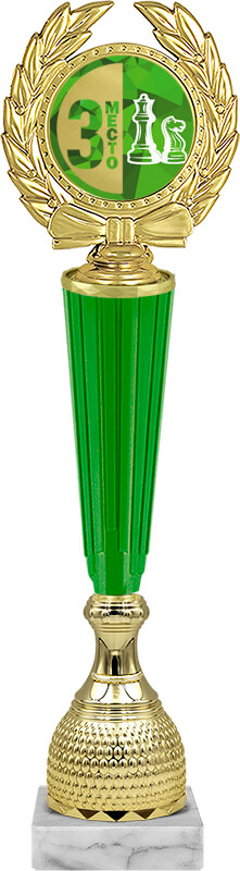 Награда шахматы 3 место