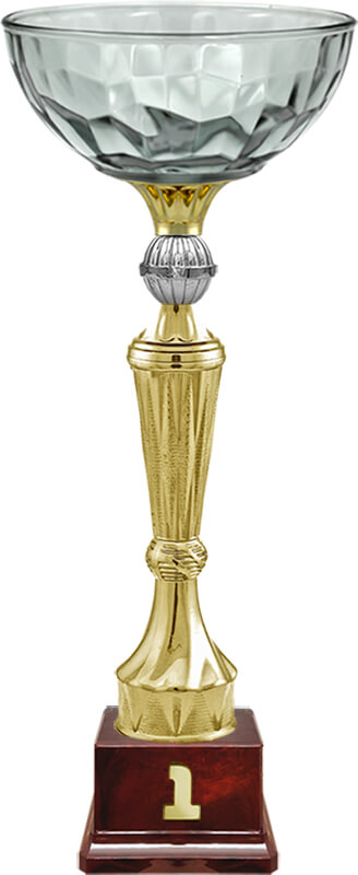 Кубок Нуар 1 место