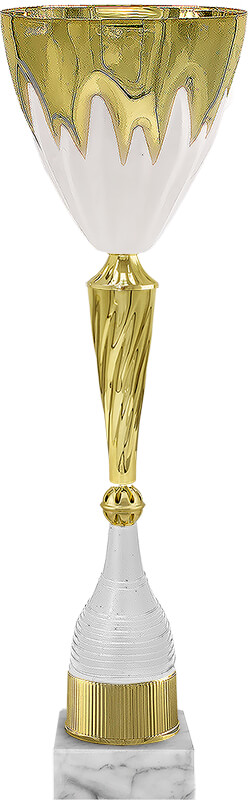 Кубок Аэлита Кубок Аэлита