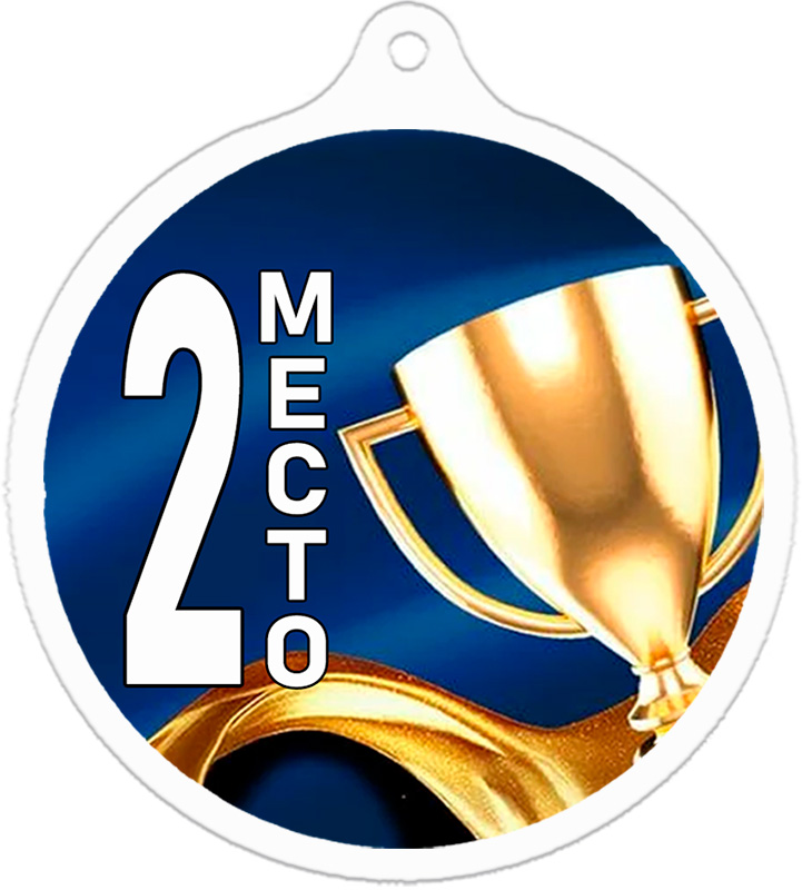 Медаль кубок 2 место