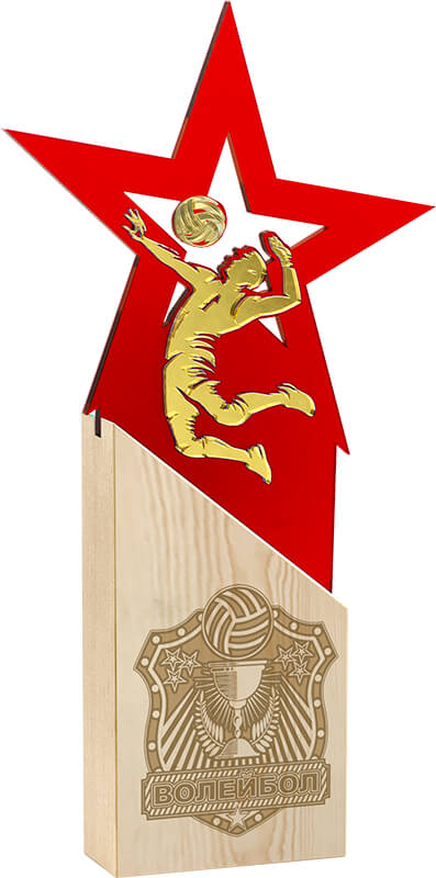 Награда волейбол