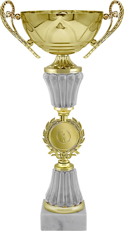 Кубок Эшли