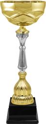 Кубок Тэмпли Кубок Тэмпли